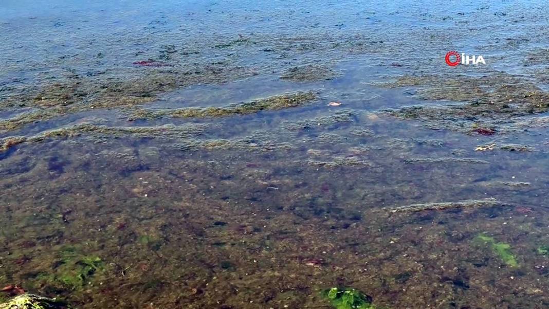 O kentte endişelendiren görüntü: Balıkçılar avlanmaya çıkamadı! Bu kadarı daha önce yaşanmadı 2